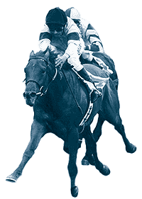 Highclere Thoroughbred Racing